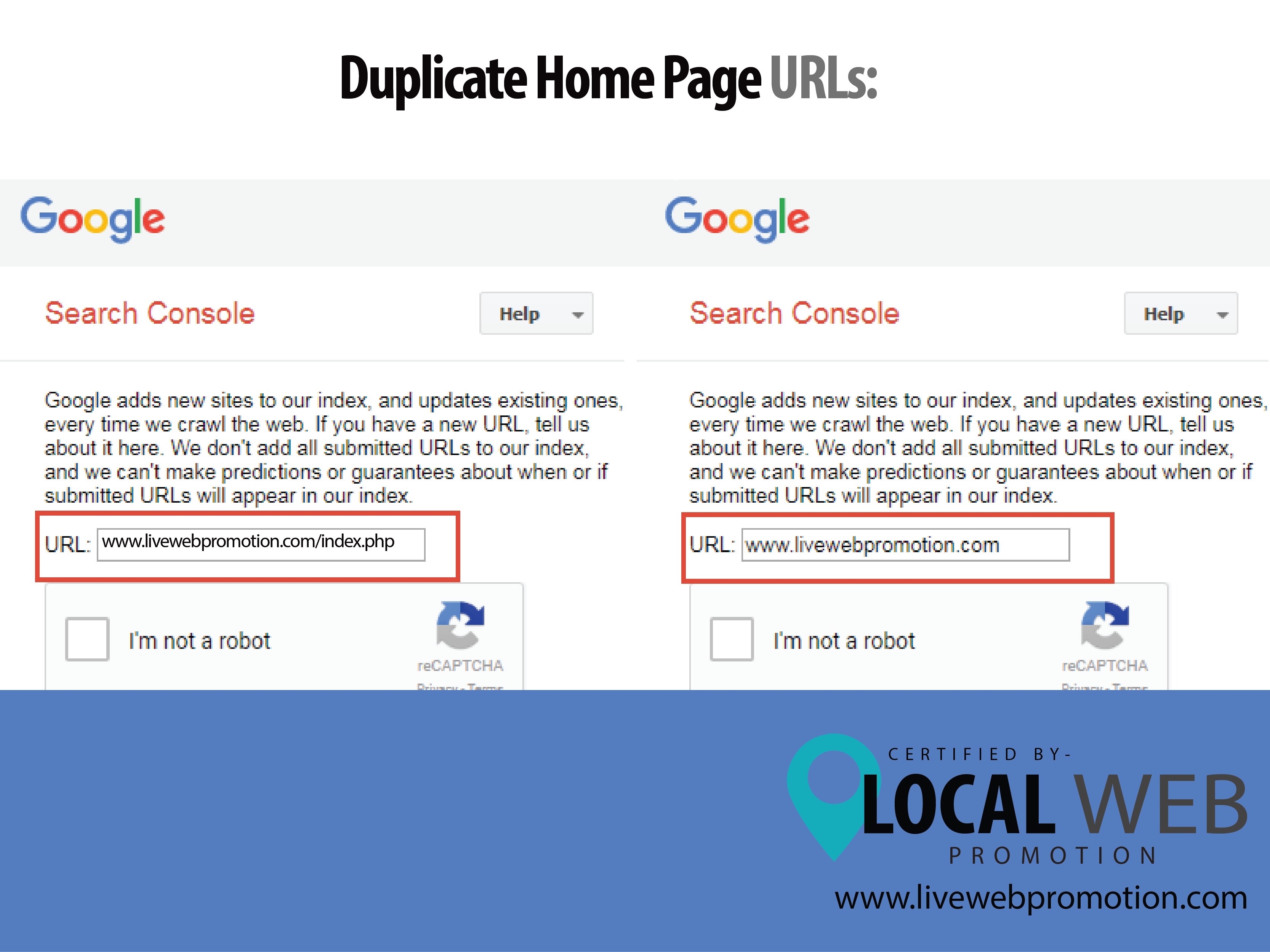 Duplicate Home Page Urls